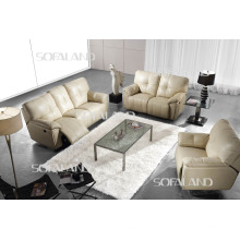 Muebles de salón / sofá reclinable (916)